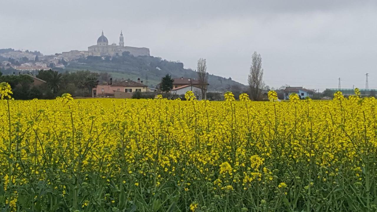 Villetta Del Conero Porto Recanati Ngoại thất bức ảnh